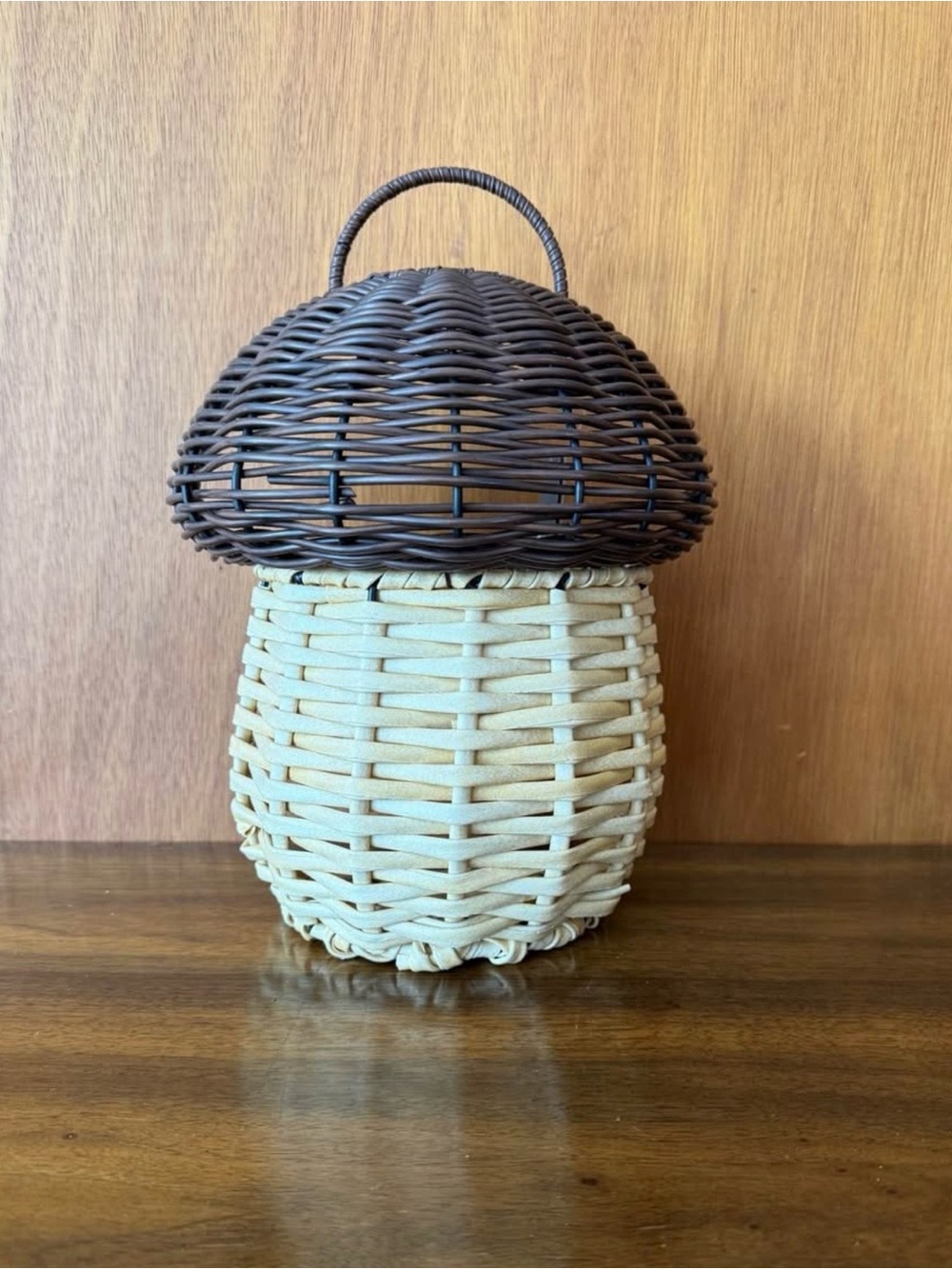 Woven Two-Tone Mushroom Basket Accent - Brown and Cream